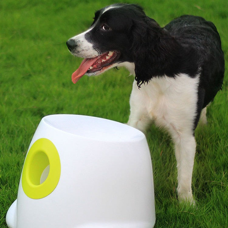 Pet ball throwing machine launcher