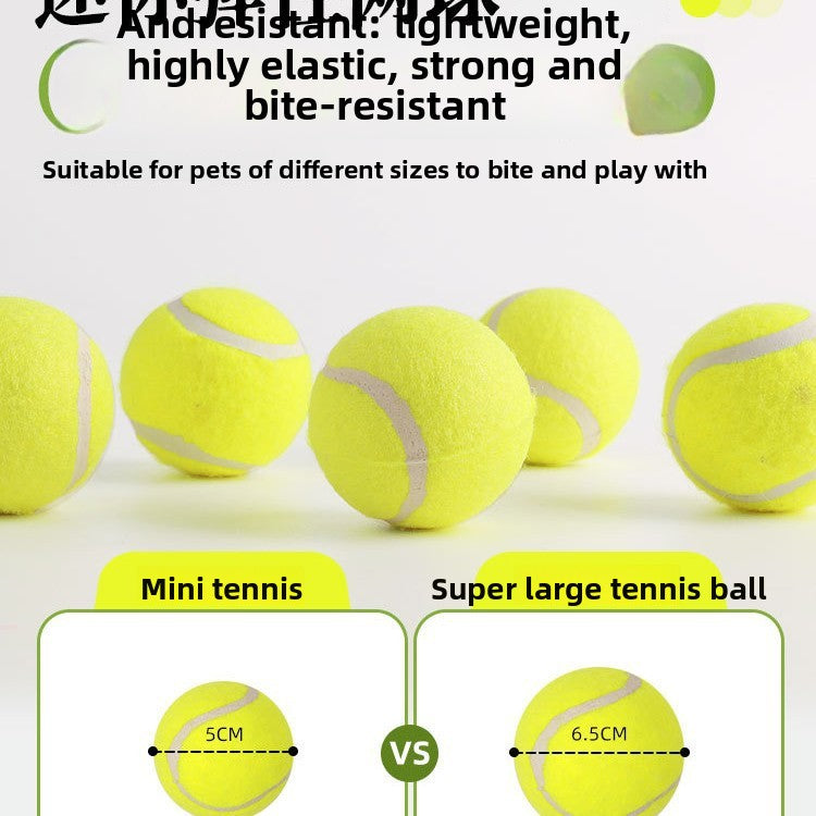 Pet ball throwing machine launcher