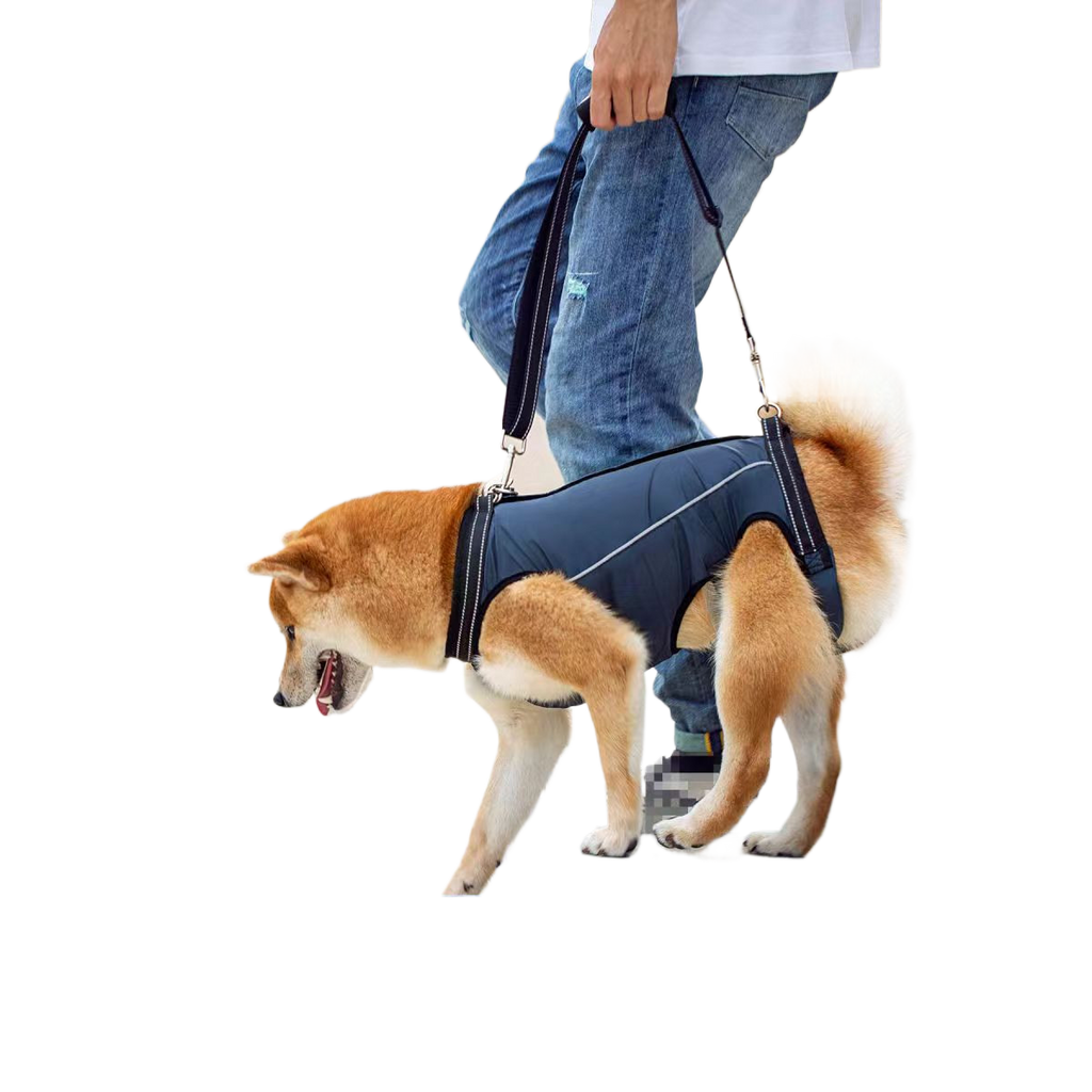 Pet Mobility Harness