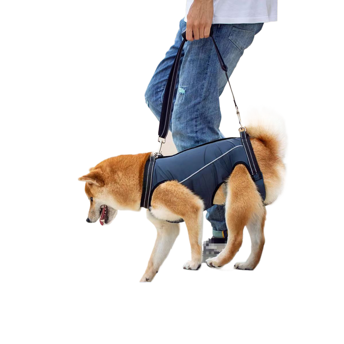 Pet Mobility Harness