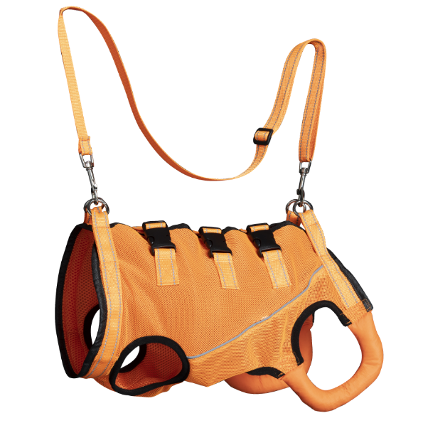 Pet Mobility Harness